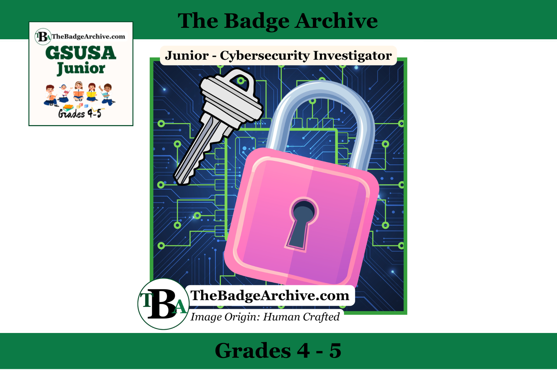 2011 – Junior Cybersecurity Investigator