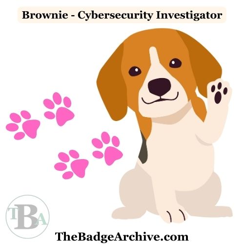 2011 – Brownie Cybersecurity Investigator – Basic Plan – The Badge Archive