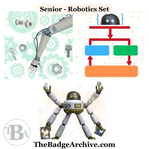 2011 – Senior Robotics – The Badge Archive
