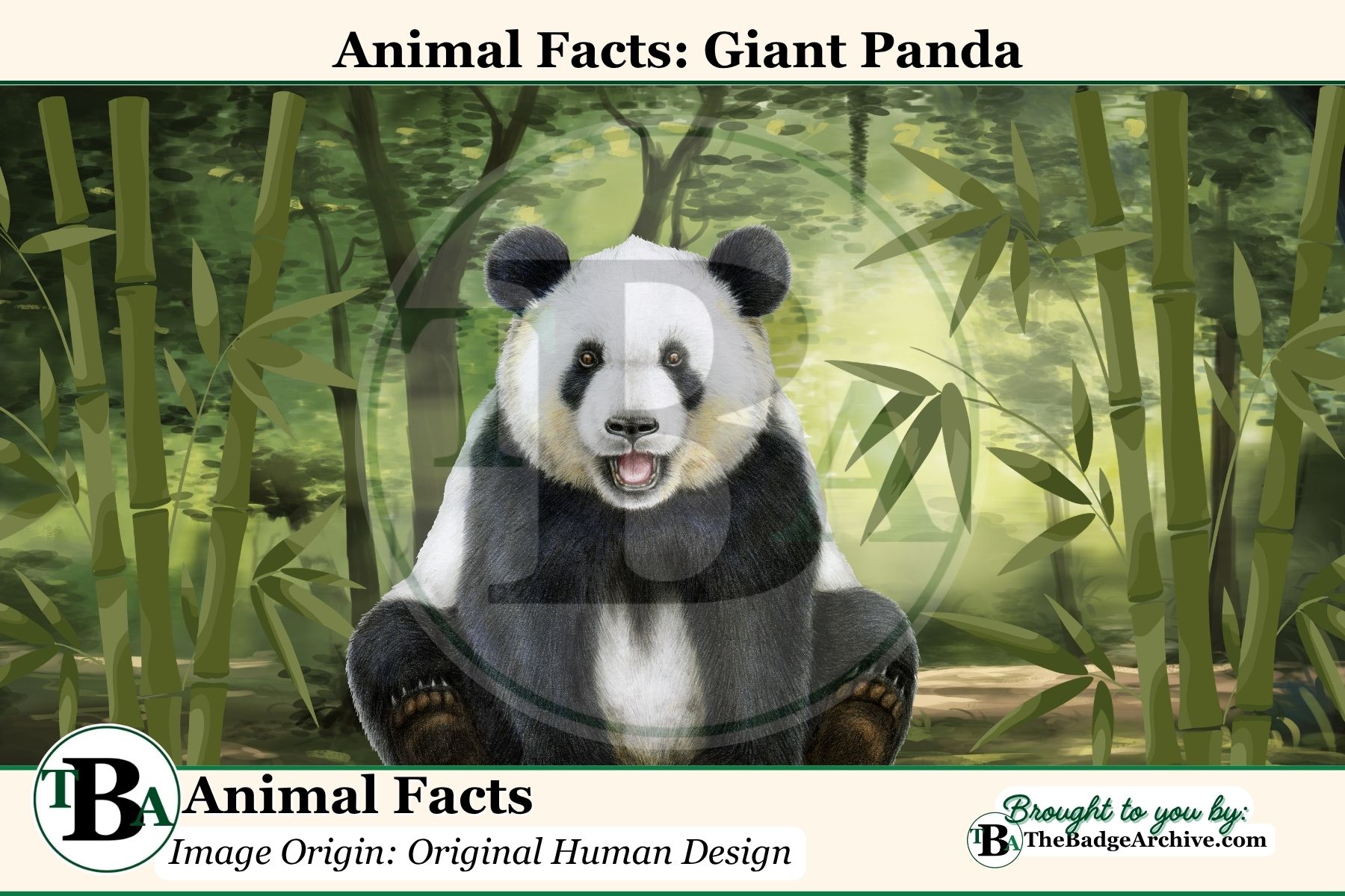 Animal Facts: Giant Panda