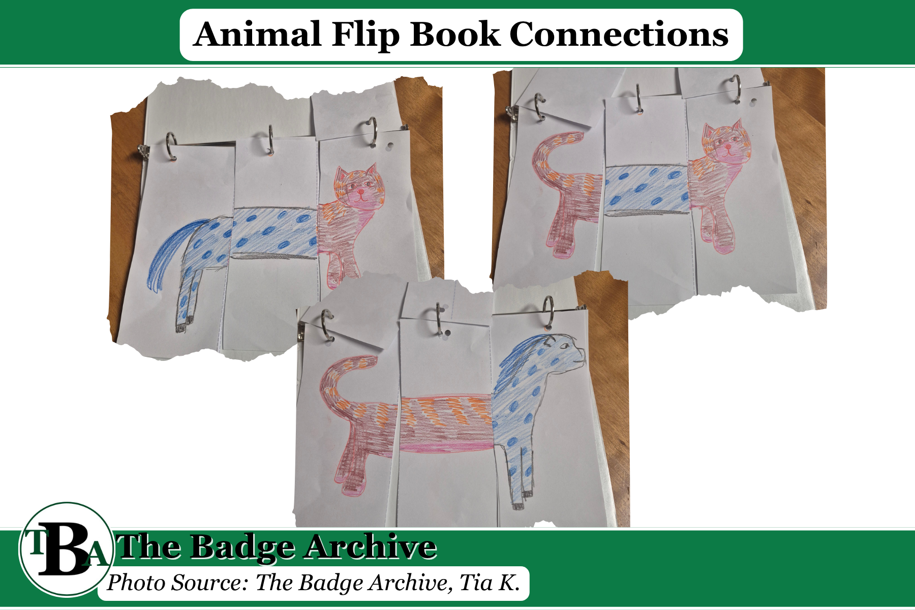Animal Flip Book Connections