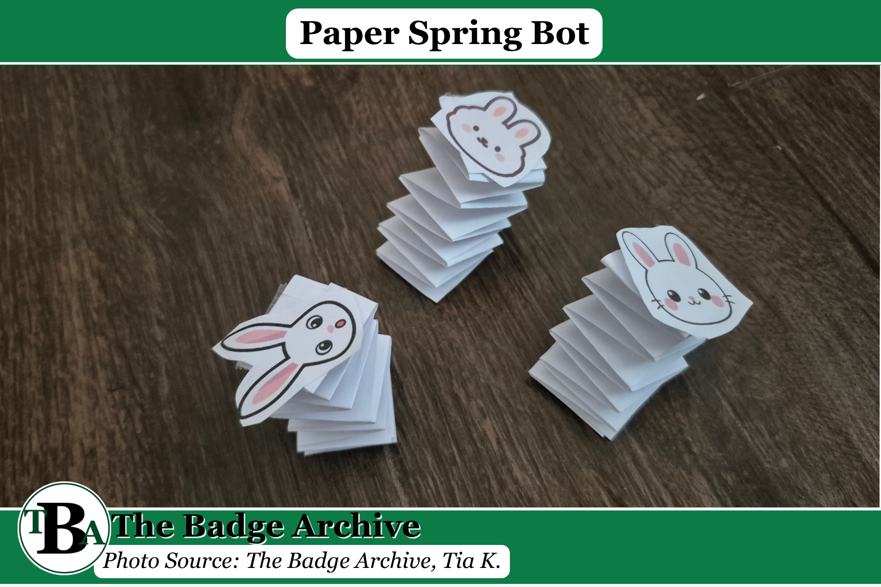 Paper Spring Bot