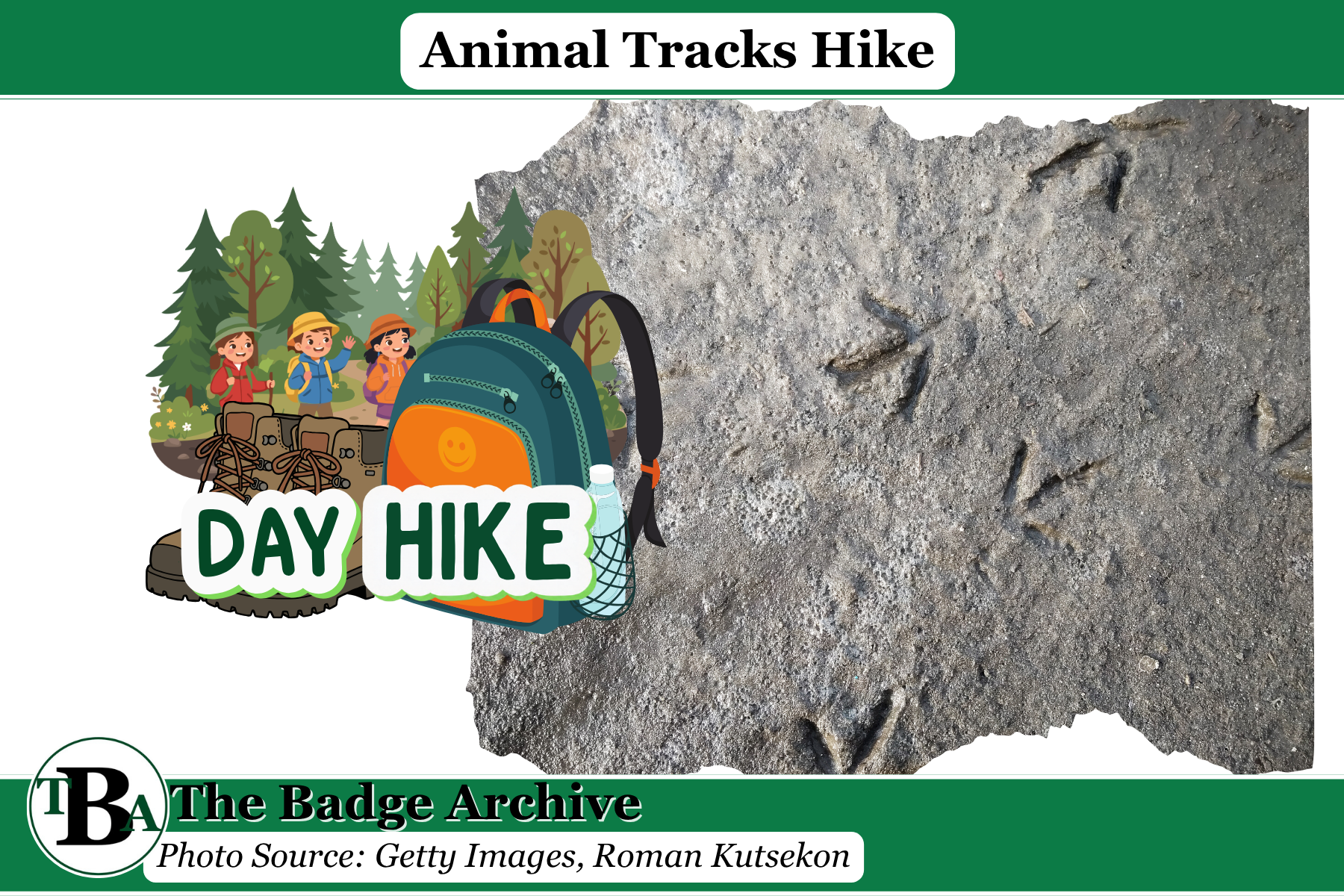 Animal Tracks Hike