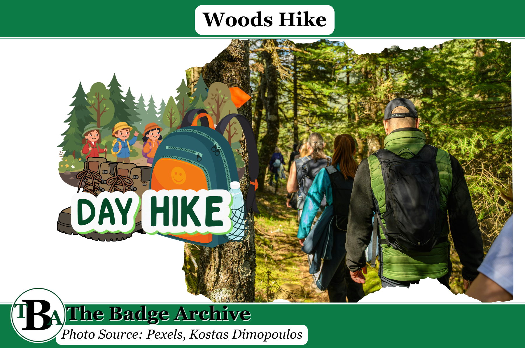 Woods Hike